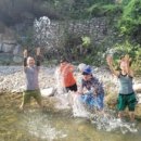 진안고원치유의숲 이미지