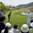 프로미손해사정(주) | DB손해보험 프로미 오픈 2026 일정 관전 포인트 라비에벨 첫날 체크리스트