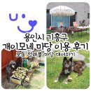마당개 | 용인시 기흥구 개이모네 마당 이용 후기 / 포동 멍래블 강아지 운동장 대관 추천