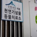 참좋은동물병원 이미지