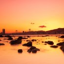 마루하우스 이미지