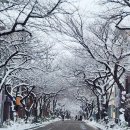 푸른봄공인중개사사무소 이미지