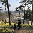 비자숲민박 이미지