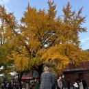 오복순대국솥밥 | 2025년 마흔다섯 번째 주의 이야기