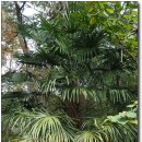 천등산철쭉공원 이미지