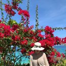 손선희 | 부지런한(?) 3월 4월 zip