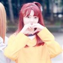 수연 이미지