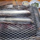 금강호 민물장어 이미지