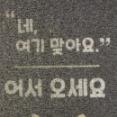 운전면허사진관