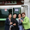 금잔디 이미지