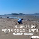 행복환경 | 비치코밍이 뭐길래? 서울·경기 남양주에서 씨글라스 공예체험후기 이야기
