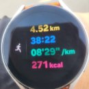 영산강자전거도로L | 오랜만에 러닝 후 나주 벚꽃 명소 현실 후기 한수제 말고 여기가 더 좋았다 (영산강 벚꽃길)