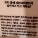 동아시아고유생물연구소 | 호모사피엔스 /국립중앙박물관 /이촌역/2021.5.18.~ 9.26 /입장료 5,0
