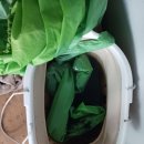 자유무역로 이미지