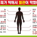 혜민생활건강 이미지