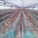 연동2농장 이미지