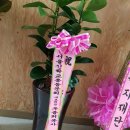 지구촌지역아동센터 이미지