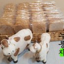 현미와누룽지 이미지