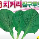 씨앗 - 남양주시 덕소로116번길 11 | 씨앗