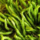 파코통상 이미지