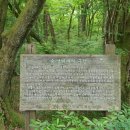 송이버벗 이미지