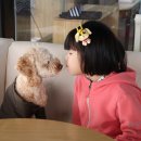 파크애비뉴엘 이미지