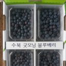 굿모닝농장2 이미지