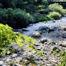 지현펜션 이미지