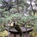 모고헌 Daum카페