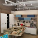 라우스 데오 이미지