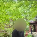 태성미디어 | [전시]석파정 서울 미술관 - 다녀온 횰이의 내돈내산 기록