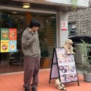 토우토우 아카이브 여름 반팔 티셔츠 그린 코디