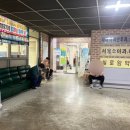 라파이비인후과 네이버블로그