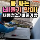 비둘기길 | 인천 비둘기똥청소와 비둘기망으로 퇴치,아이 건강망치는 실외기실 악취 제거 청소 후기