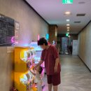 뉴서울프라자(외부) | [일산] 14개월 아기랑 키즈존있는 찜질방 비교 (스파아일랜드vs엠스파)