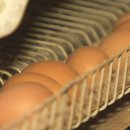 지현농장 이미지