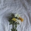 대한민국 국향대전 지역예술단체 공연 이미지