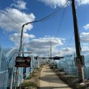 다혜농장 | 서울 근교 데이트|남양주 딸기체험 당일 예약가능 다혜농장 후기|남양주 물의 정원