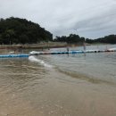 남일대해수욕장 | 남일대해수욕장에서 발 담그며 즐긴 어싱 체험 후기