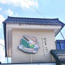 휘닉스 평창 리조트 주변 맛집 대관령 현지인 추천 맛집 흔들바위