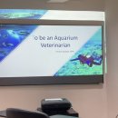 풀음농장 | [🇹🇭태국🐘 #2] IVSA 태국이벤트 솔직 후기 (광고아님/내돈내산)