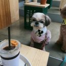 연남파출소 화장실 이미지