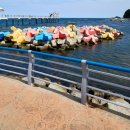 대진항 공중화장실 이미지