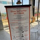 신평로 | [대구 동구]용계역 크리스마스 분위기 가득한 카페 슬로우벗베럴 대구점 방문후기 &amp; 꿀팁