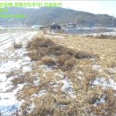 용정삼거리 인근 이미지