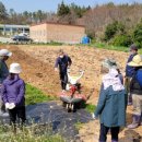 농기계임대사업소 도암분점 이미지