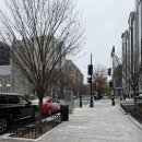 DC마트 | [미국 뉴욕 여행.12] 워싱턴DC 항공우주박물관 예약 입장 꿀팁, 자연사박물관, 판다익스프레스, 마트 추천