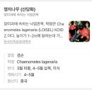 텐퍼센트 상주상산점