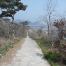 옥도면 장자도리 이미지