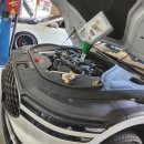 SY모터스 이미지